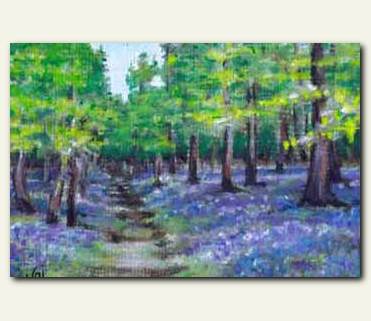 Bluebell Wood