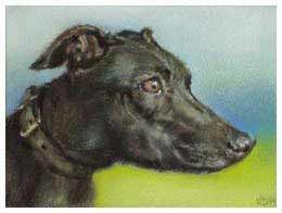 Dog Pastel Portrait Painting.